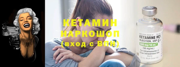 стаф Пестово