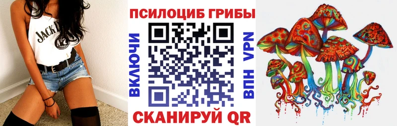 Галлюциногенные грибы Psilocybine cubensis  Железногорск-Илимский 